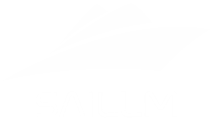 SAILLM 标志
