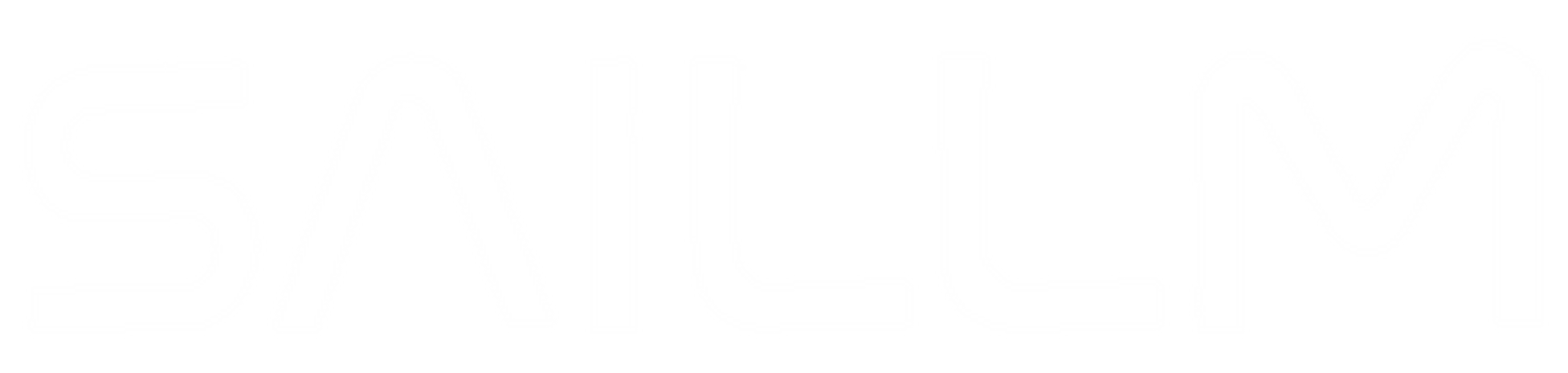 SAILLM